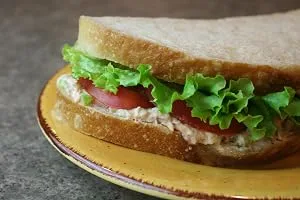 The Prepared Pantry Sour Cream Onion Gourmet Bread Mix Single Pack For Bread Machine or Oven - product information 4