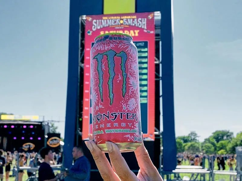 Monster Energy Ultra Blue Sugar Free Energy Drink 16 Ounce (Pack of 24) - summer