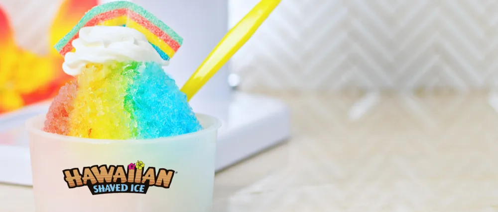 Hawaiian Shaved Ice Syrup 16 Fl Oz 6 Pack 16 Fl Oz (Pack of 6) - hawaiian shaved ice snowcone