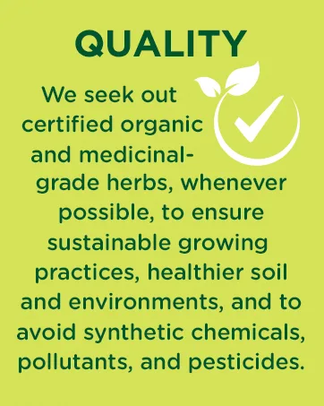 Traditional Medicinals Organic Throat Coat Lemon Echinacea Seasonal Tea 16 Count (Pack of 6) - Quality