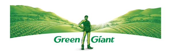 Green Giant Kitchen Sliced Green Beans 14.5 Ounce 4 Count (Pack of 6) Kitchen Sliced 4 Count (Pack of 6) - product information 1