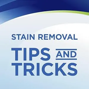 Bissell Woolite INSTAclean Permanent Pet Stain Remover (2 pack) - Pet stain remover; carpet cleaner; upholstery cleaner; fabric cleaner; rug cleaner; stain cleaner; r