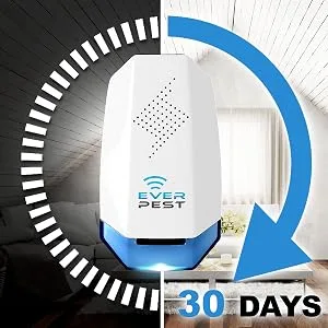 Ultrasonic Pest Repeller Plug in 2 Pack- Electronic Insect Control Defender - Roach Bed Bug Mouse Rodent Mosquito - Indoor Reject Repellent - for Cockroach Ants Mice Fly Rat Bedbug Spider Squirrel Color91 - everpest