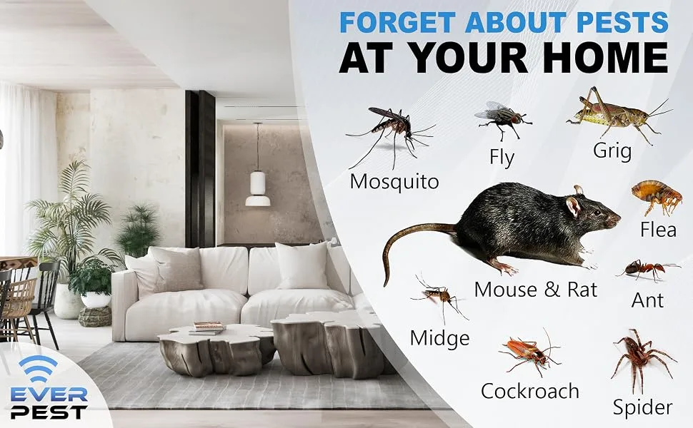 Ultrasonic Pest Repeller Plug in 2 Pack- Electronic Insect Control Defender - Roach Bed Bug Mouse Rodent Mosquito - Indoor Reject Repellent - for Cockroach Ants Mice Fly Rat Bedbug Spider Squirrel - everpest