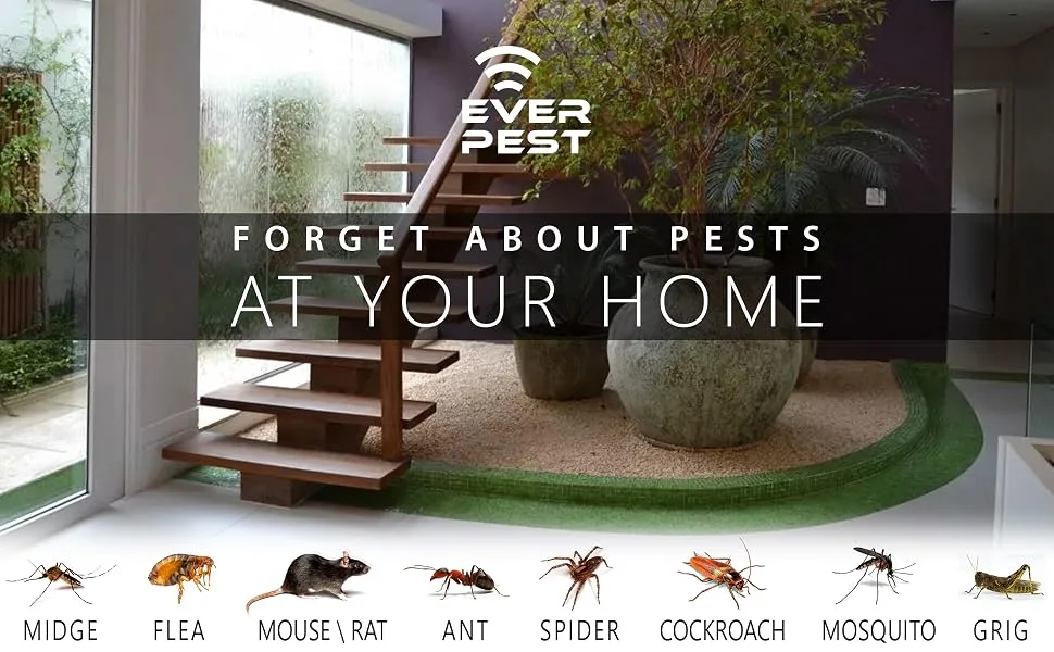 Ultrasonic Pest Control Repeller - Repel Rodents Ants Cockroaches Get Rid Bed Bugs Mosquitos Flies Spiders Squirrel Bats - Eco-Friendly Safe for Humans - 2 Pack  - everpest