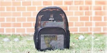 Edraco Heavy Duty Mesh Backpack Mesh Backpack for College Sport Travel Beach Semi-transparent Mesh Bag with Padded Straps - mesh bag