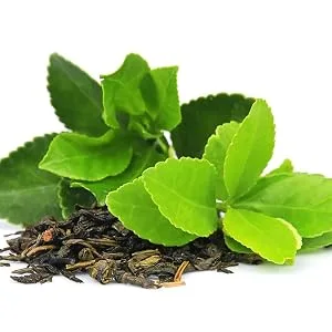 SpaLife Naturally Infused Bath Tea (Green Tea (6 Count)) - green tea