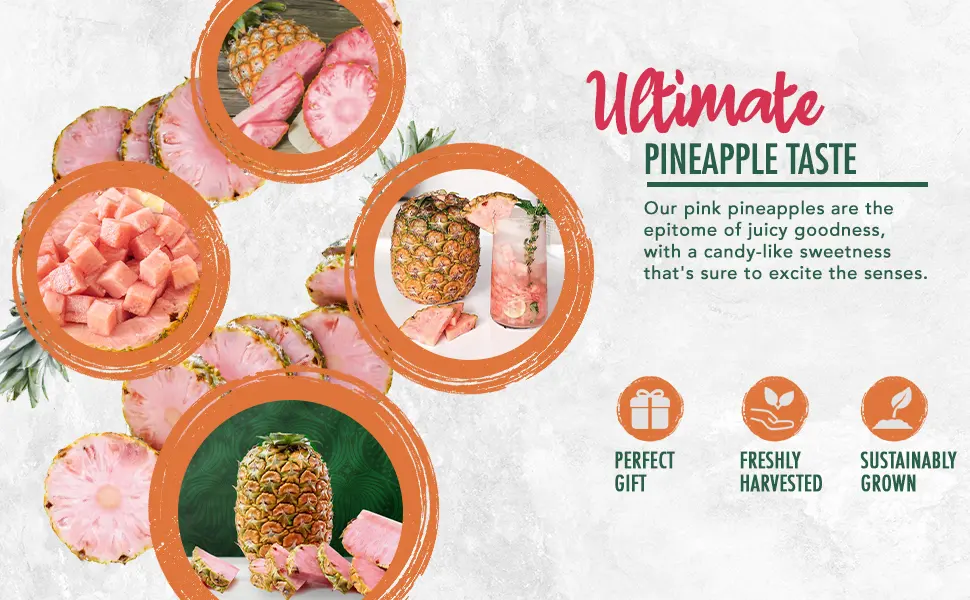 Melissa's Produce Pinkglow Pineapple - Fresh Pineapple Produce Packed with Lycopene and Vitamin C - Pink glow pineapple by Melissa
