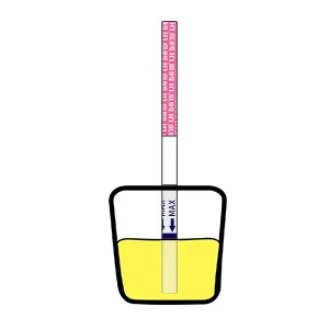 DAVID 50 Ovulation Test Strips Ovulation Predictor kit Fertility Test for Women 50 Free Urine Cup Fertility Tracker Kit Accurate Results - 50 Count LH Test - product information 14