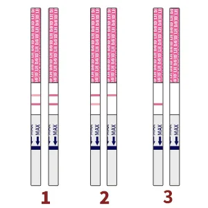 DAVID 50 Ovulation Test Strips Ovulation Predictor kit Fertility Test for Women 50 Free Urine Cup Fertility Tracker Kit Accurate Results - 50 Count LH Test - product information 16