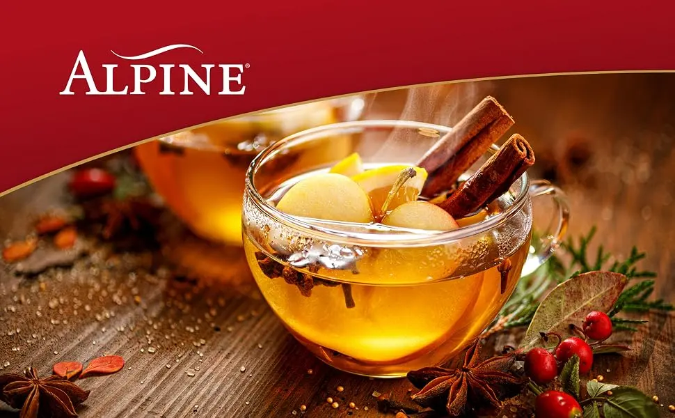 Alpine Spiced Cider Apple Flavor Original Drink Mix 10 Pouches (Pack of 12) - Alpine