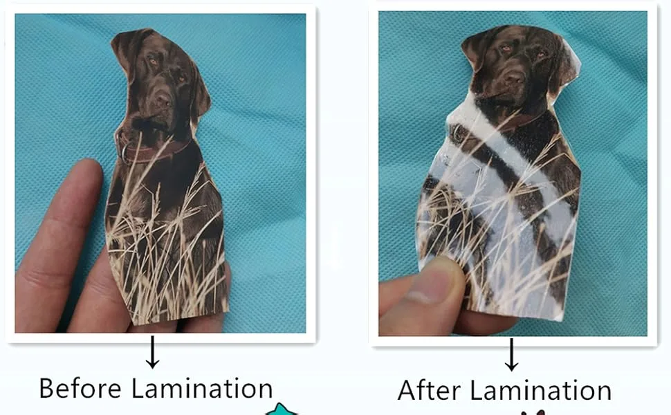20-Pack Clear Self-Adhesive Laminating Plastic Paper 4x6 Inches 4x6 inch 20 Pack - product information 1