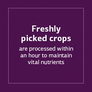 Standard Process Min-Chex Stress Relief - 90 Capsules - Freshly picked crops are processed within an hour to maintain vital nutrients