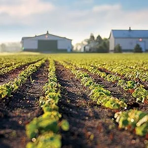 Standard Process Min-Chex Stress Relief - 90 Capsules - Standard Process Organic Farm