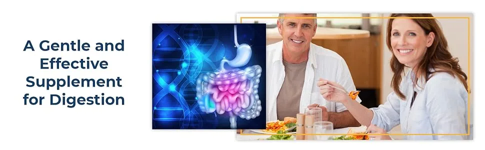Simple Promise - Consti-Slim - Natural Digestion and Weight Support - Increases Digestive Enzymes, 60 Capsules - Simple Promise