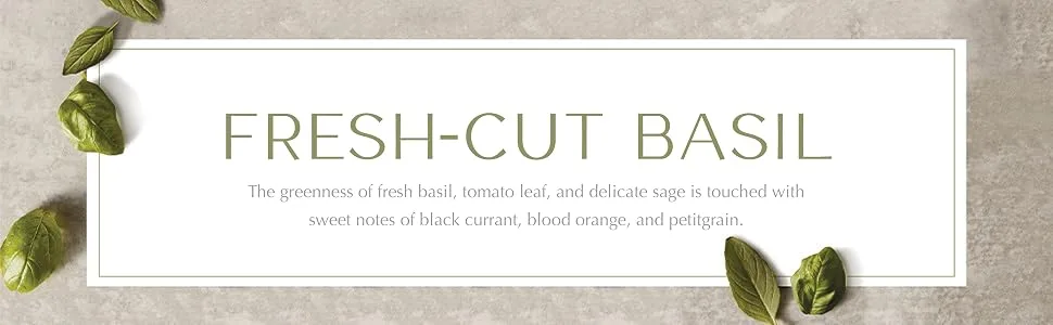 Thymes Hand Wash Fresh-Cut Basil - 9 Fl Oz  - Fresh Cut Basil