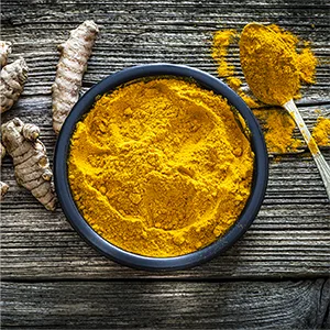 Futurebiotics Turmeric + Curcumin 1500 MG per Serving, Antioxidant, Joint & Digestion Support with BioPerine for Enhanced Nutrient Intake, Non-GMO, 90 Vegetarian Capsules - Futurebiotics
