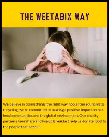 Weetabix On the Go Chocolate Flavoured Breakfast Drink 250ml - product information 4