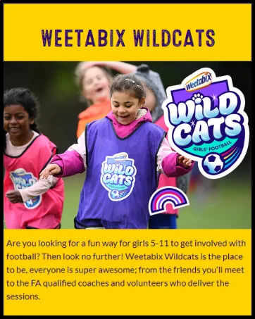 Weetabix On the Go Chocolate Flavoured Breakfast Drink 250ml - product information 7