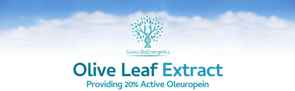 Olive Leaf Extract 6750mg Whole Leaf Equivalent - 60 Capsules - Containing 20% Active Oleuropein - Swiss BioEnergetics Olive Leaf Extract UK A
