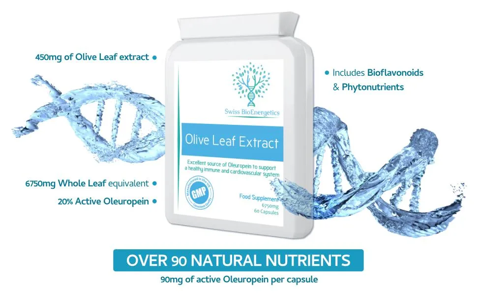 Olive Leaf Extract 6750mg Whole Leaf Equivalent - 60 Capsules - Containing 20% Active Oleuropein - Swiss BioEnergetics Olive Leaf Extract UK B