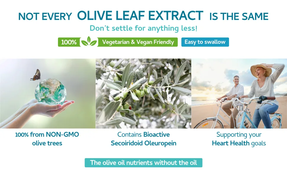 Olive Leaf Extract 6750mg Whole Leaf Equivalent - 60 Capsules - Containing 20% Active Oleuropein - Swiss BioEnergetics Olive Leaf Extract UK C