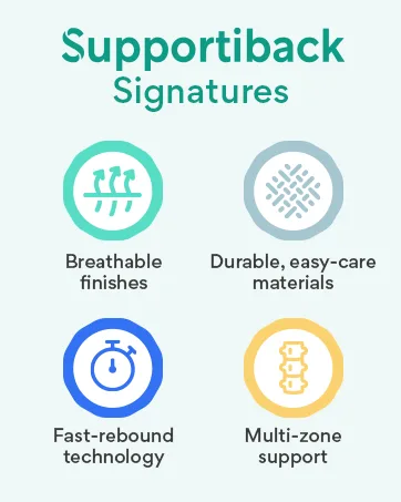 Lumbar Belt - Patented 3-Zone Structure for NATURAL POSTURE - 3X Less Inflammation - Sweat-Wicking & 2X MORE BREATHABLE - Bio-Based - Supportiback - brandstrory 2022