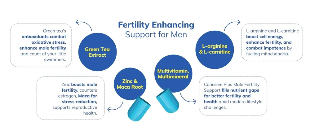 CONCEIVE PLUS Male Fertility Supplements - Boost Sperm Count, Motility & Libido - Maca Root, Folic Acid, L-Arginine, Zinc & Magnesium - Multivitamin for Men’s Health & Fertility Support, 60 Caps - product information 17