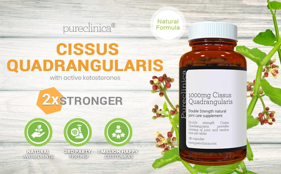 Double Strength Cissus Quadrangularis 1000mg x 180 Veggie Capsules -Up to 6 Months Supply 180 Count (Pack of 1) - High Strength Cissus Quadrangularis