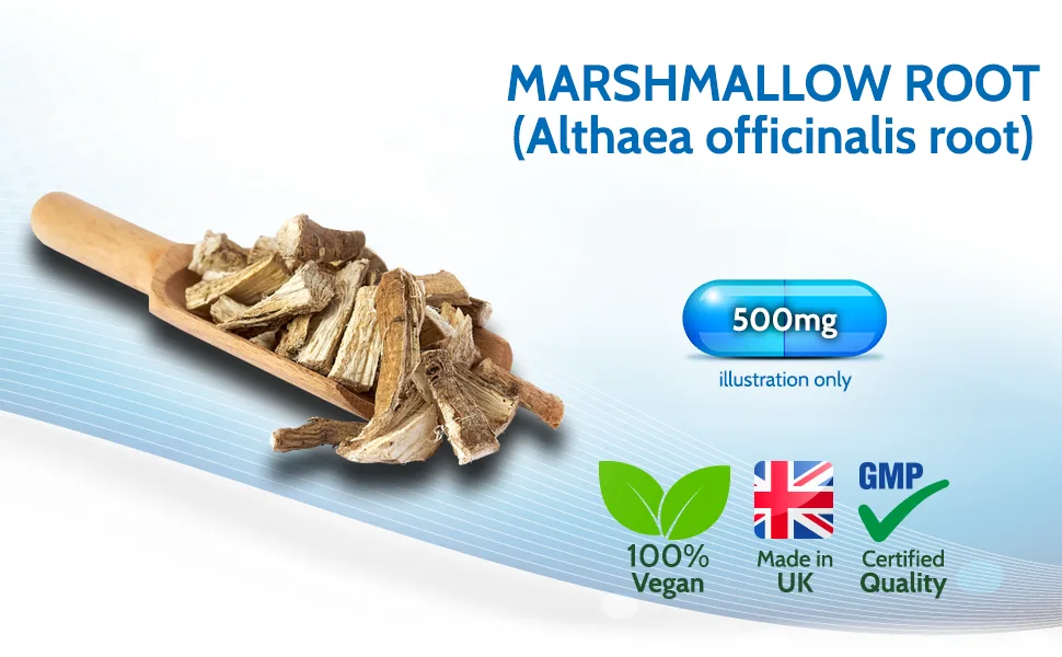 Health4All Marshmallow Root 500mg 90 Capsules (V) (not Tablets) Vegan 90 Count (Pack of 1) - Marshmallow Root