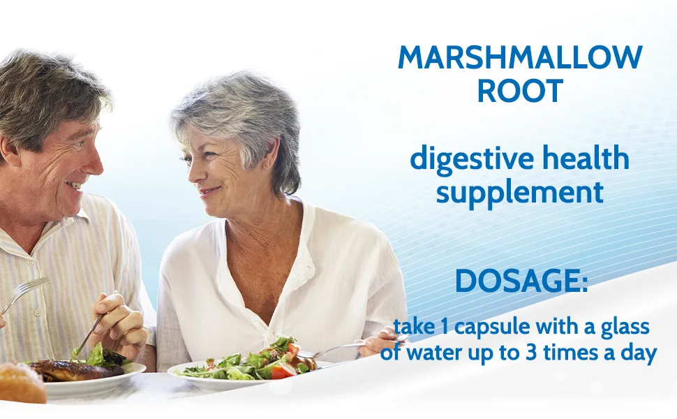 Health4All Marshmallow Root 500mg 90 Capsules (V) (not Tablets) Vegan 90 Count (Pack of 1) - Marshmallow Root