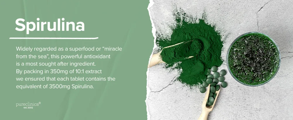 INFLAMMEASE Ultra Complete 1305mg x 90 Tablets (Ginger Curcumin Spirulina ALA Resveratrol- 5 Supplements in 1) - Spirulina