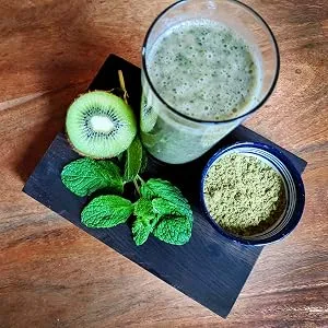 Hempiness Organic Premium Raw Hemp Protein Powder (500g) | 50% Protein | Vegan and Eco-Friendly - Protein Powder Shake