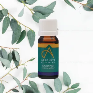Absolute Aromas Eucalyptus Essential Oil 30ml - 100% Pure Natural and Undiluted - an Antiseptic and Antibacterial Oil to Soothe and Clear - for use in Diffusers and Aromatherapy - absolute aromas, aromatherapy, eucalyptus, essential oil, natural, health, alternative, cold, sinus
