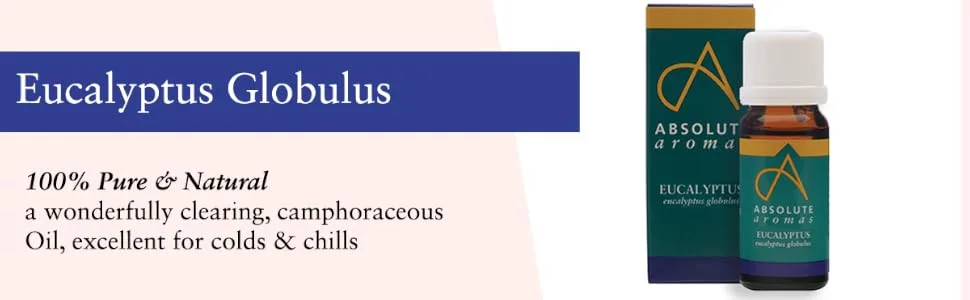 Absolute Aromas Eucalyptus Essential Oil 30ml - 100% Pure Natural and Undiluted - an Antiseptic and Antibacterial Oil to Soothe and Clear - for use in Diffusers and Aromatherapy - absolute aromas, eucalyptus, globulus, essential oil, natural, wellbeing, cold, flu, sinus, relief