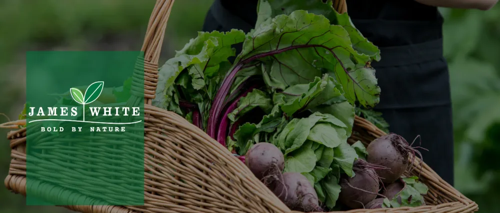 Beet It Organic Beetroot Juice (250ml x 12) Picked and Pressed Beetroot 12x250ml - James White Brand Background