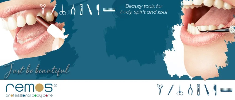 Sanident Toothpick with Flexible 925 Silver tip Reusable & fits in Every Pocket - remos professional body care