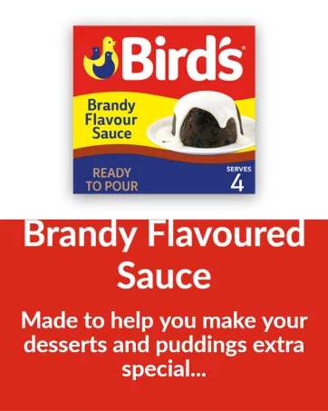Bird's Original Homemade Taste Instant Custard Powder Dessert Mix 3 Kg (Pack of 1) - Brandy Flavourd Sauce