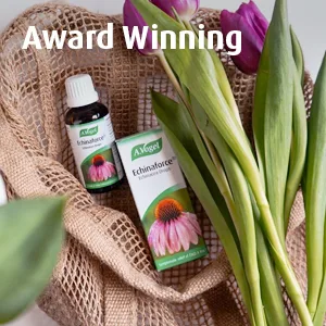 A.Vogel Echinaforce Echinacea Drops | Relieves Cold & Flu Symptoms by Strengthening the Immune System |15ml 15 ml (Pack of 1) - Our Echinaforce drops are multi-award winning