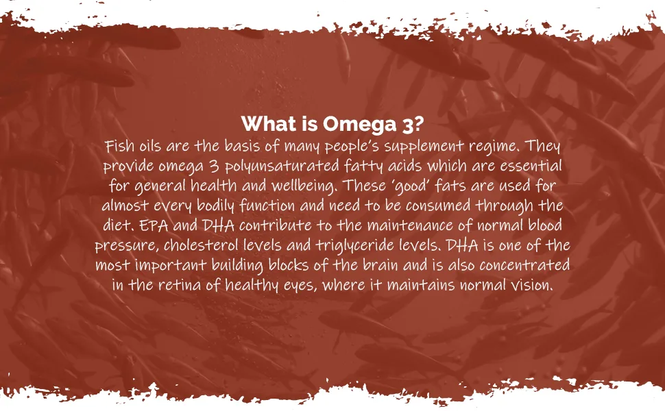 Omega 3 Fish Oil 1000mg Capsules | 360 Capsules | Providing EPA & DHA | Manufactured in The UK - S1553