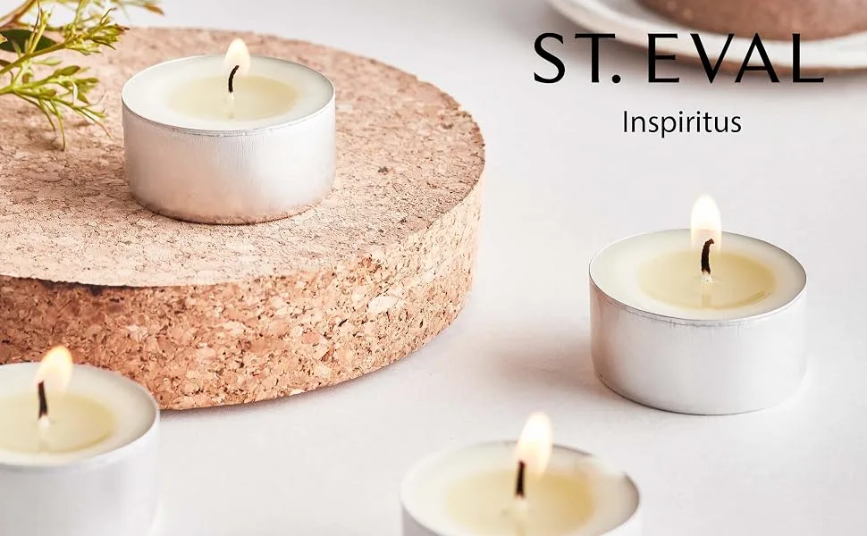 St. Eval Inspiritus Scented Reed Diffuser Refill Cinnamon - st eval inspiritus scent