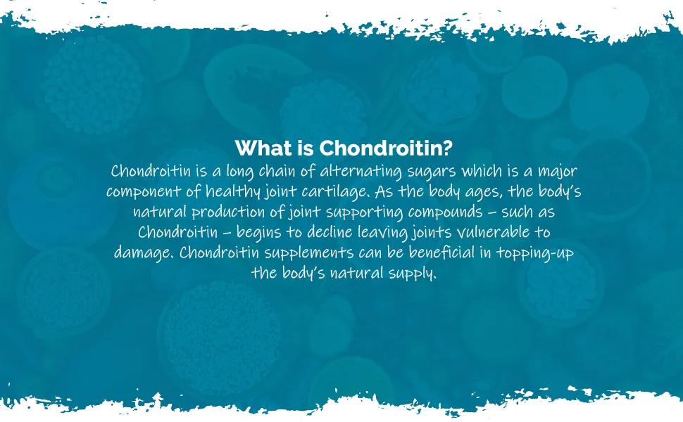 Chondroitin Complex | Premium Support for Active Lifestyles | 60 Capsules | Manufactured in The UK - E7673