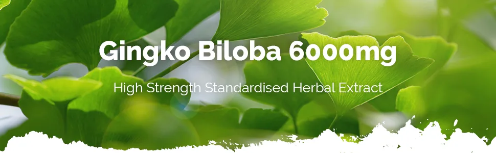 Ginkgo Biloba 6000mg | 120 Tablets | Vegan & Vegetarian Friendly | Manufactured in The UK - E4031