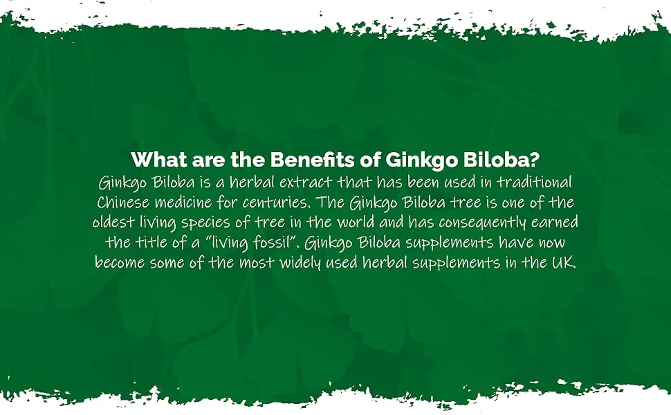 Ginkgo Biloba 6000mg | 120 Tablets | Vegan & Vegetarian Friendly | Manufactured in The UK - E4043