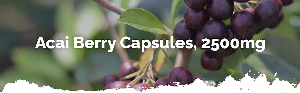Acai Berry 2500mg | Vegan & Vegetarian Friendly | Manufactured in The UK | 240 Capsules - E8271