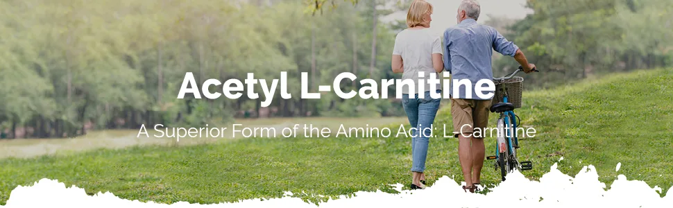 Acetyl L Carnitine Tablets 500mg | Vegan & Vegetarian Friendly | 60 Capsules | Manufactured in The UK - E6161