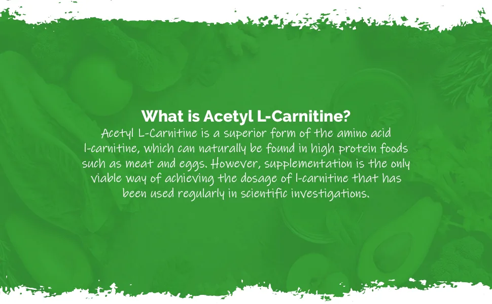 Acetyl L Carnitine Tablets 500mg | Vegan & Vegetarian Friendly | 60 Capsules | Manufactured in The UK - E6163