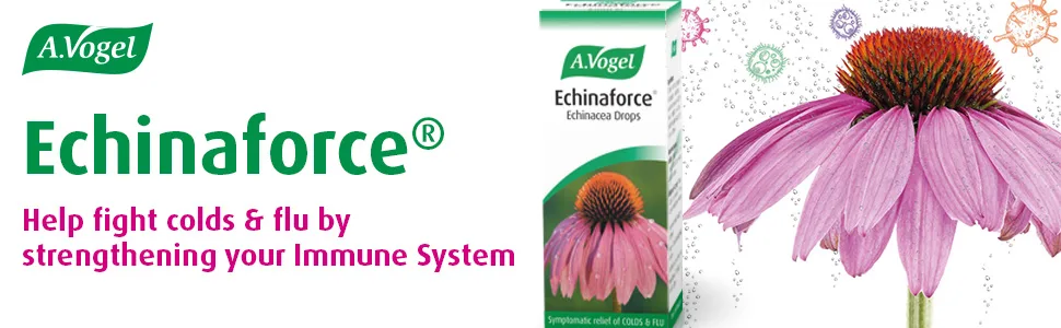 A.Vogel Echinaforce Echinacea Drops | Relieves Cold & Flu Symptoms by Supporting The Immune System | 100 ml 100 ml (Pack of 1) - Echinaforce Drops help fight colds ad flu by strengthening the immune system
