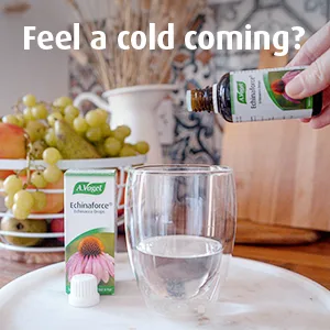 A.Vogel Echinaforce Echinacea Drops | Relieves Cold & Flu Symptoms by Supporting The Immune System | 100 ml 100 ml (Pack of 1) - Start taking at the first signs of a cold, take 15 drops 2-3 times daily