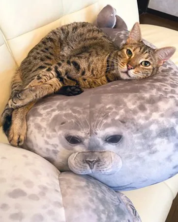 RUNYA Blob Seal Pillow Cute Chubby Seal Plush Toy Stuffed Animals M(15.7in) Style-a - product information 5